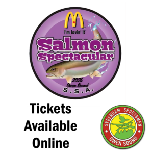 OSSS 2026 Single Derby Entry